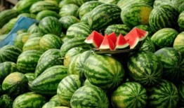 网红吃瓜有哪些,揭秘娱乐圈幕后故事